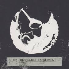 The Secret Experiment